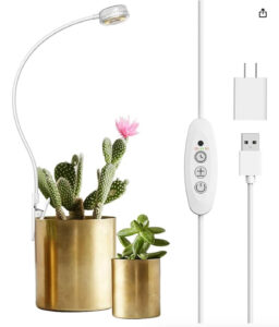 Best grow light for carnivorous plants