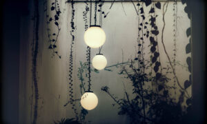 decorative solar garden lights