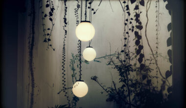 decorative solar garden lights