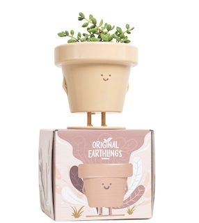Carnivorous plant pot gift idea.jpg