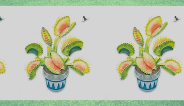 the ultimate carnivorous plant gift guide