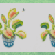 the ultimate carnivorous plant gift guide