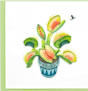 venus flytrap greeting card.jpjg