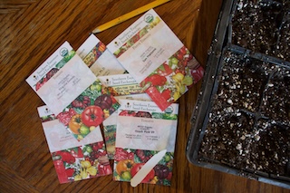 tomato growing supplies